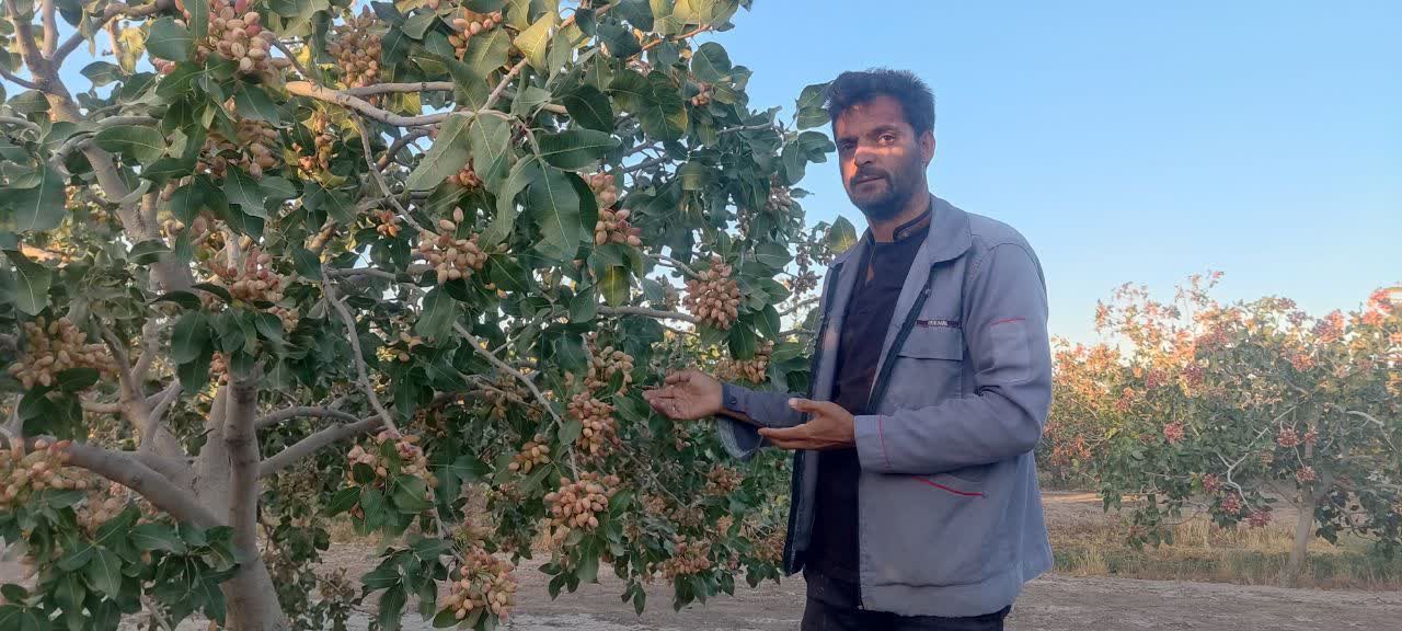 موفقیتی از جنس تجربه در سایه طلای سبز برای اهل دانشگاه موفقیتی از جنس تجربه در سایه طلای سبز برای اهل دانشگاه